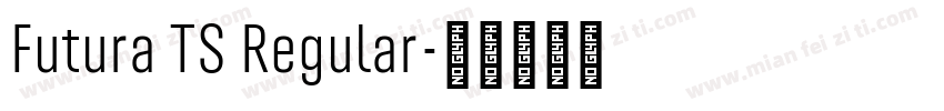 Futura TS Regular字体转换